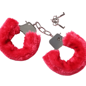 Handcuffs & Restraints